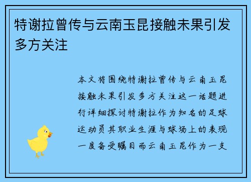特谢拉曾传与云南玉昆接触未果引发多方关注
